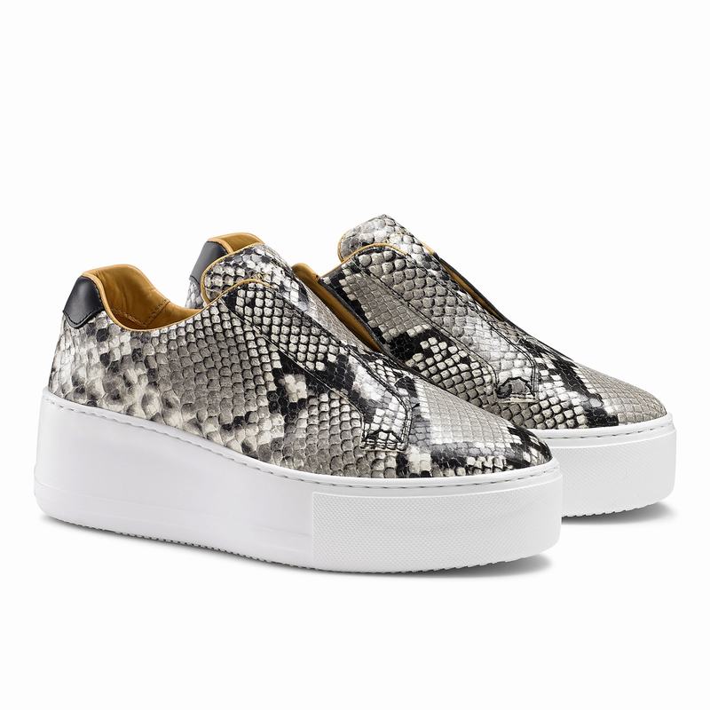 Tenis Plataforma Russell And Bromley Park Up Feminino Multicoloridas | DDH372ZU