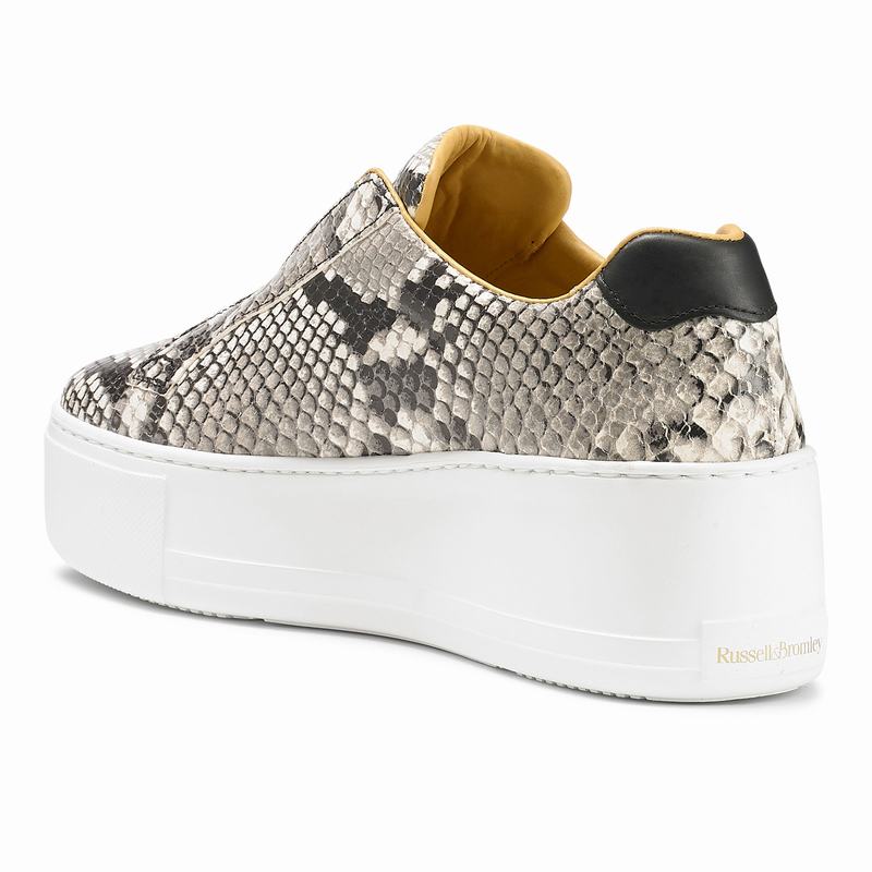 Tenis Plataforma Russell And Bromley Park Up Feminino Multicoloridas | DDH372ZU